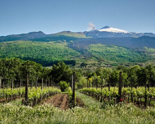 Itinerary Etna and wine