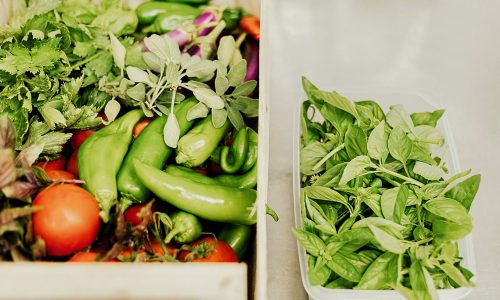 11 - Fresh produce
