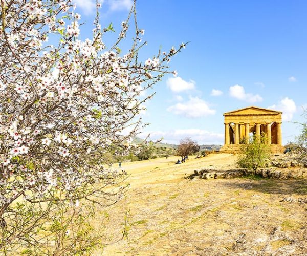 Temple of Concordia, Agrigento, Valley of the Temples, Archaeological Park