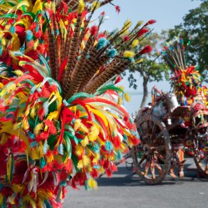 Ornamental and colorful feather on a sicilan cart during a folk festival