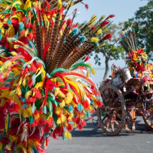 Ornamental and colorful feather on a sicilan cart during a folk festival
