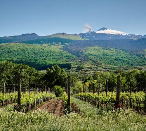 Itinerary Etna and wine