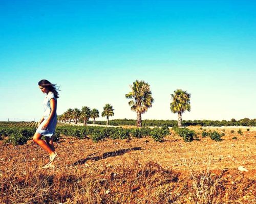 Girl in a Marsala vineyard